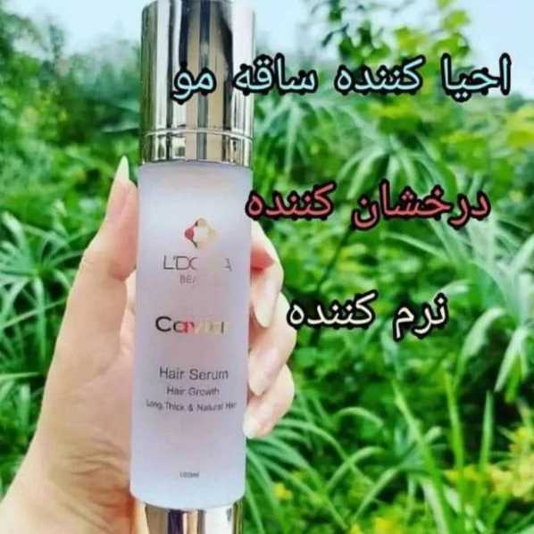 1721472551309.webp